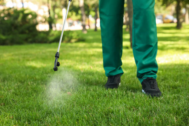 Best Wildlife Control Services  in Wood Dale, IL