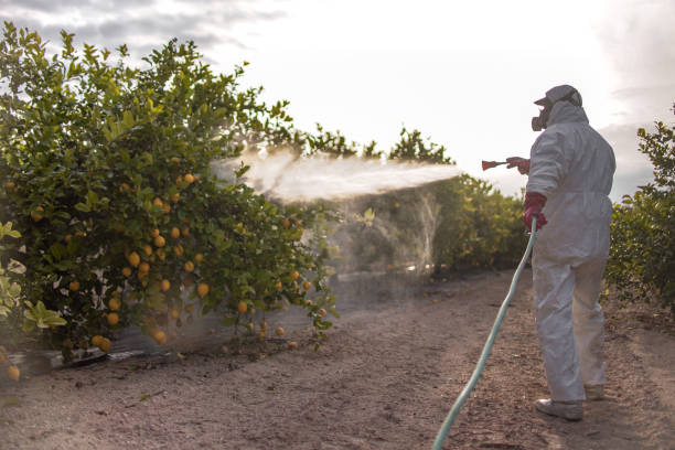 Professional Pest Control in Wood Dale, IL