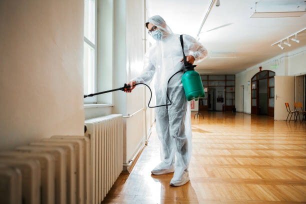 Pest Prevention Services in Wood Dale, IL