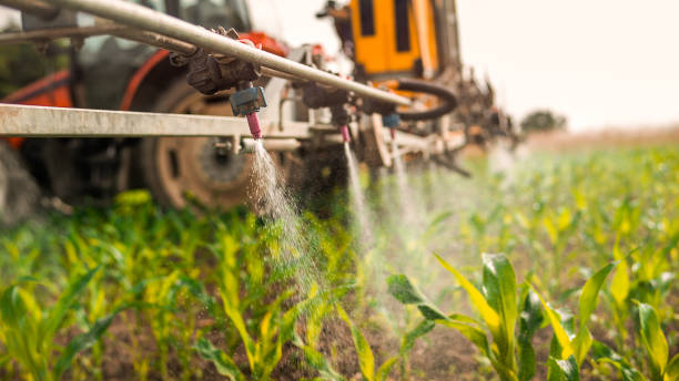 Best Pest Prevention Services  in Wood Dale, IL